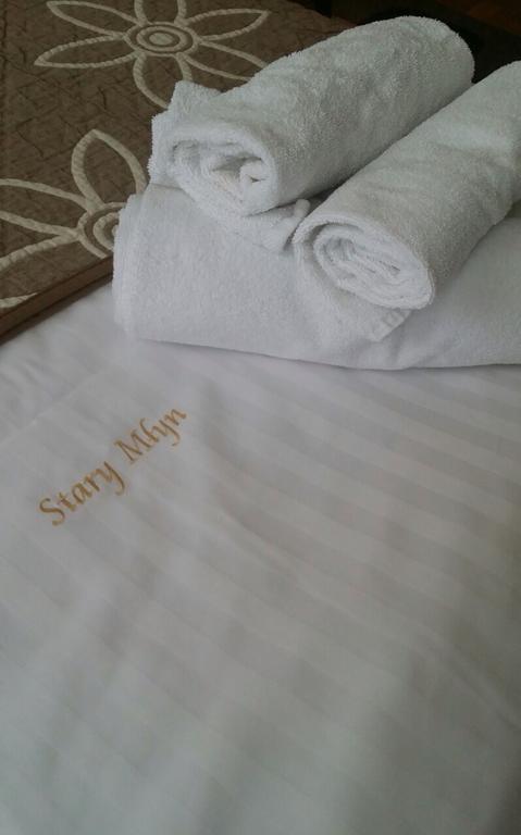 Stary Mlyn Otel Żory Dış mekan fotoğraf